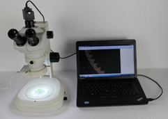 نظام تحليل الصور المعدنية الرقمي CCD بدقة 5 ميجابكسل H3000